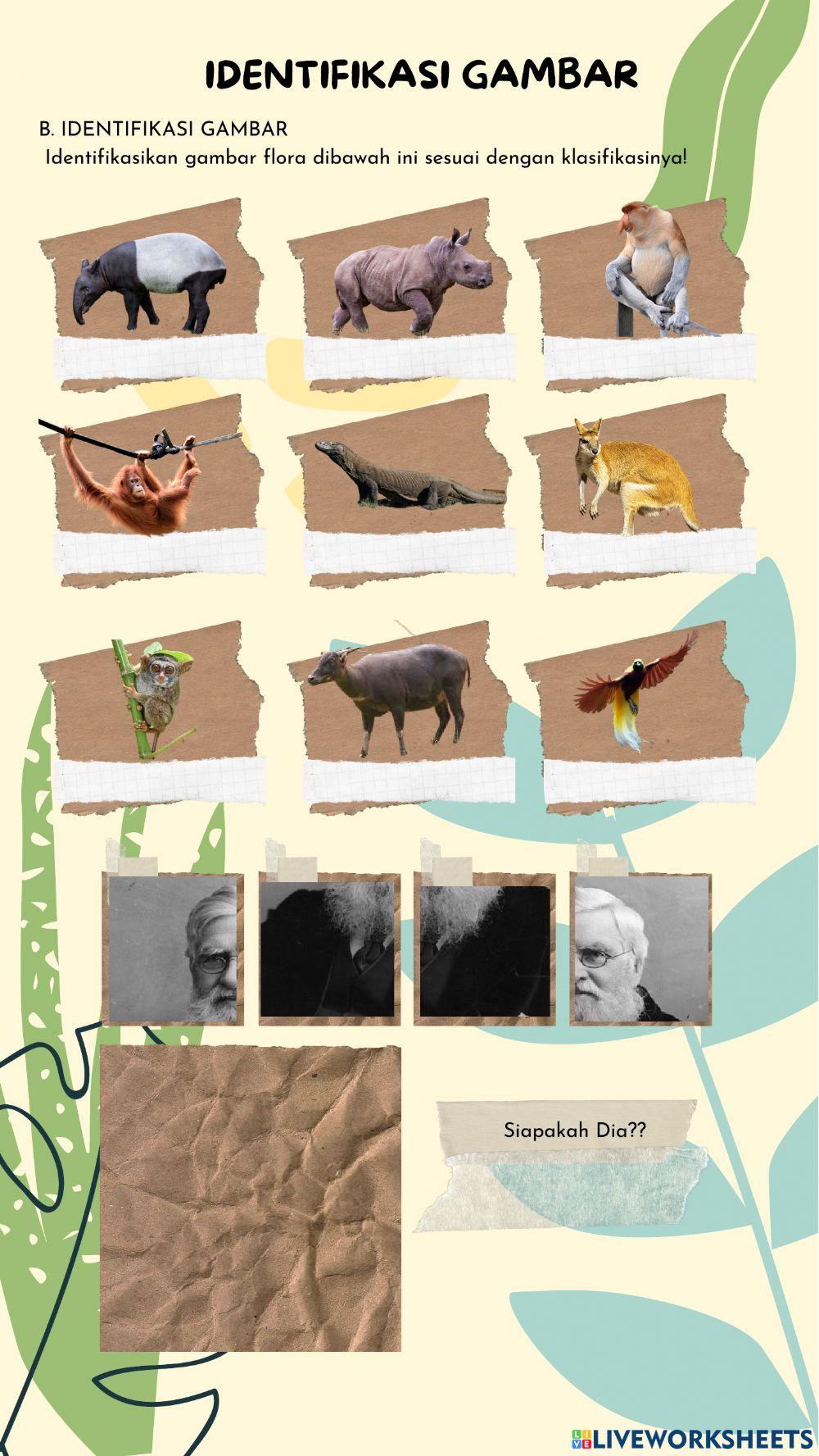 Anugerah alam Indonesia