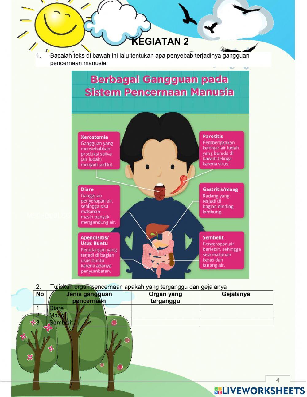 CARA MENJAGA ORGAN PENCERNAAN