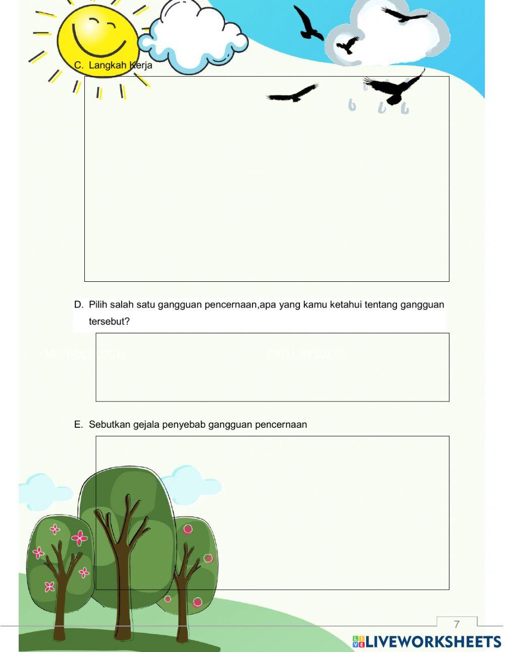 CARA MENJAGA ORGAN PENCERNAAN