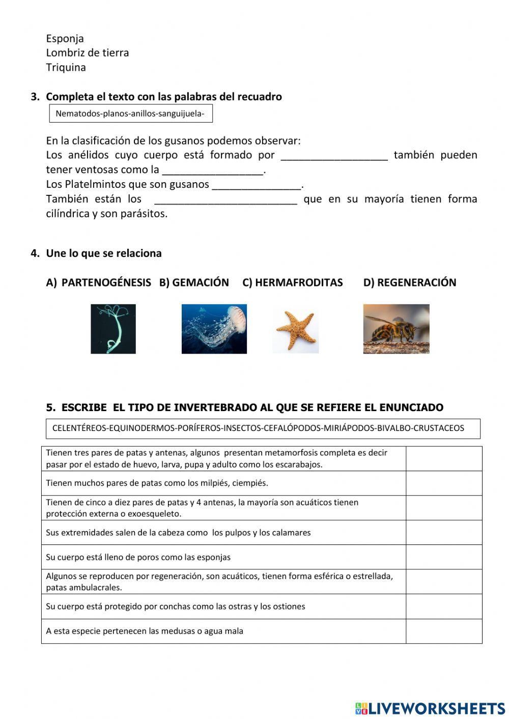 EVA Ciencias2