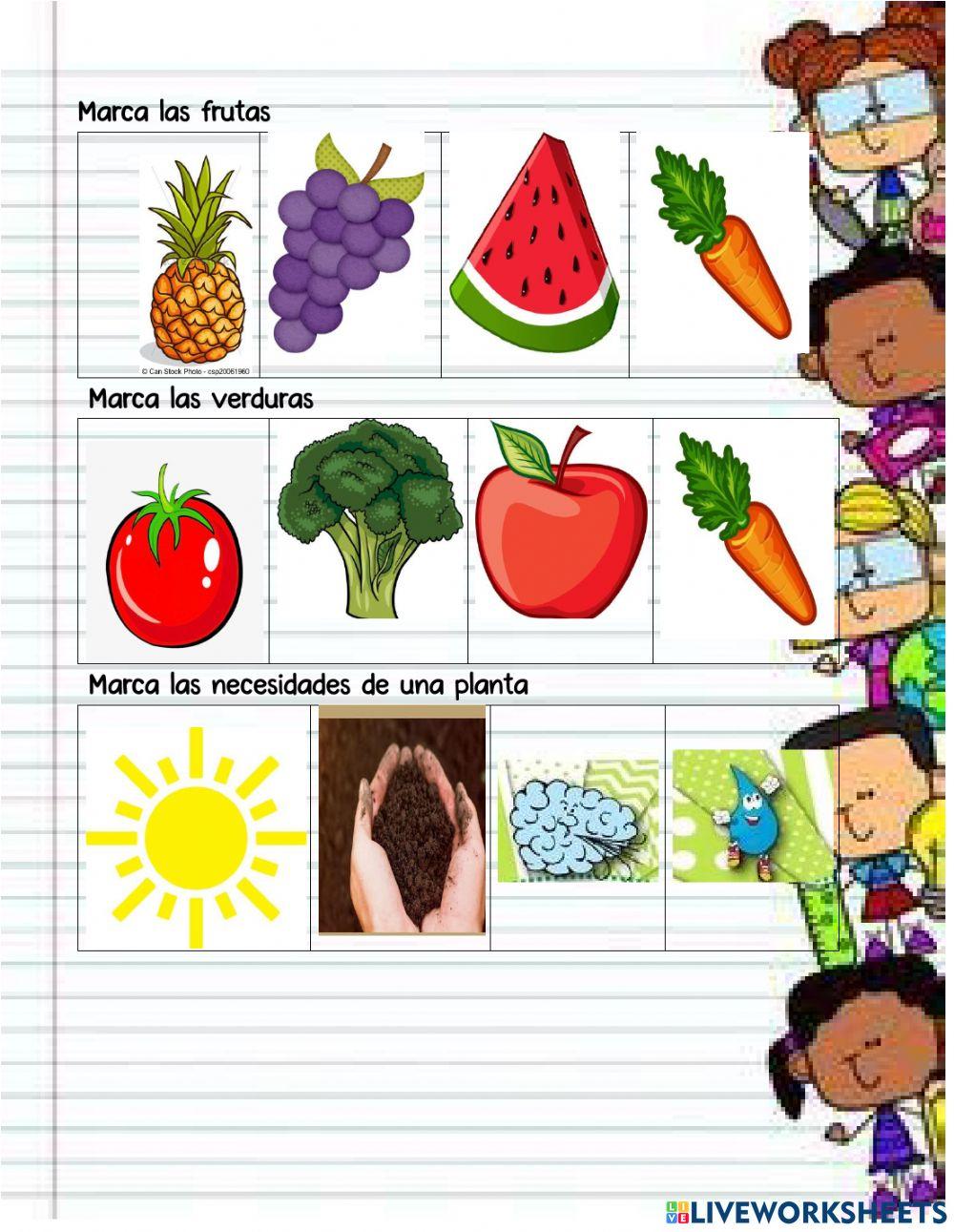 1365617 Plantas Marlen Gonzalez Liveworksheets 1365617 Plantas Marlen Gonzalez Liveworksheets