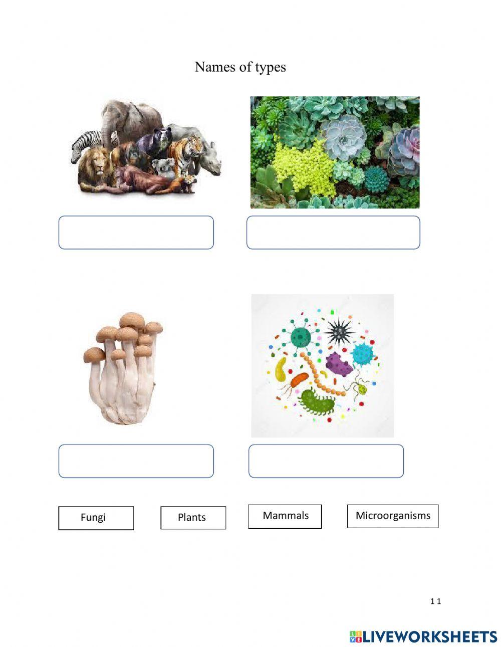 Types of Living things on Earth