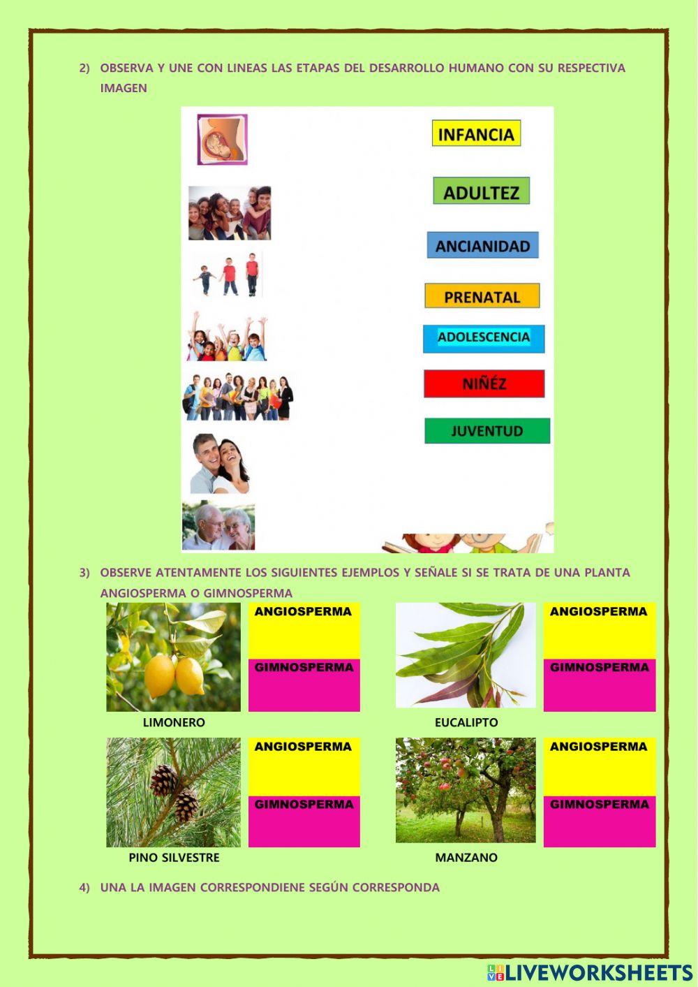 Evaluacion diagnostica de ciencias naturales