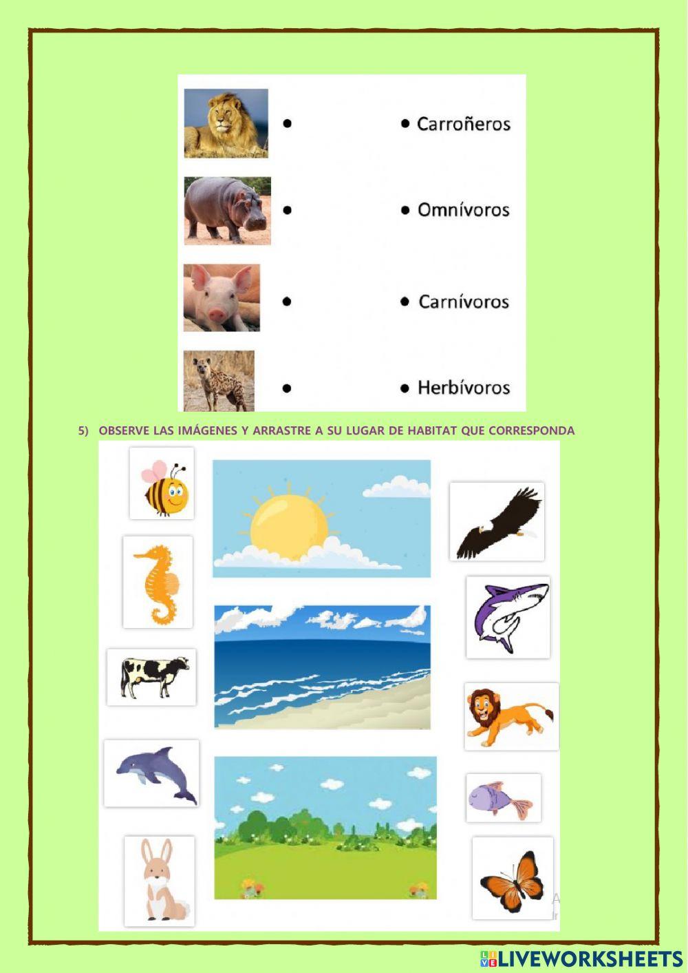 Evaluacion diagnostica de ciencias naturales