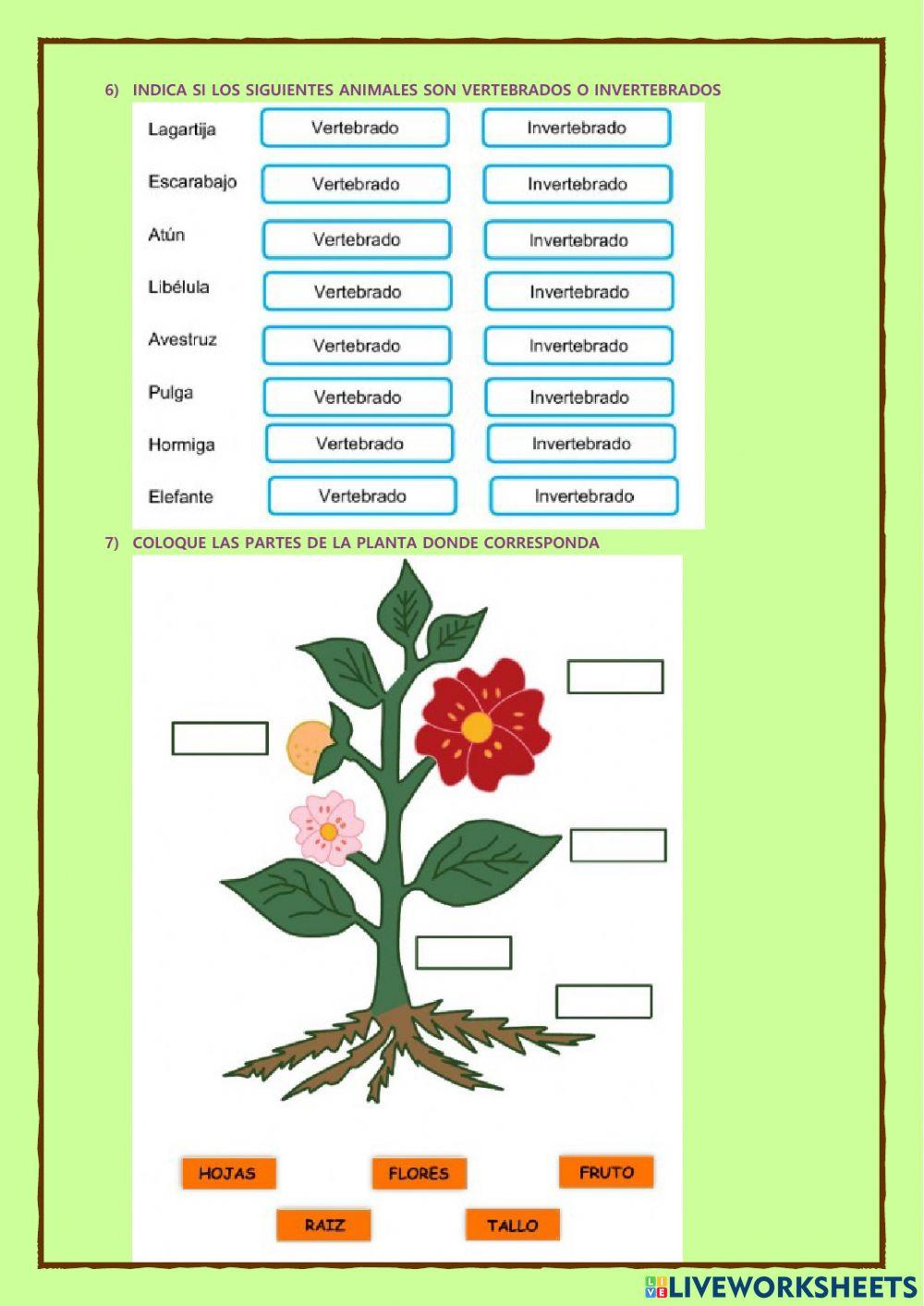 Evaluacion diagnostica de ciencias naturales