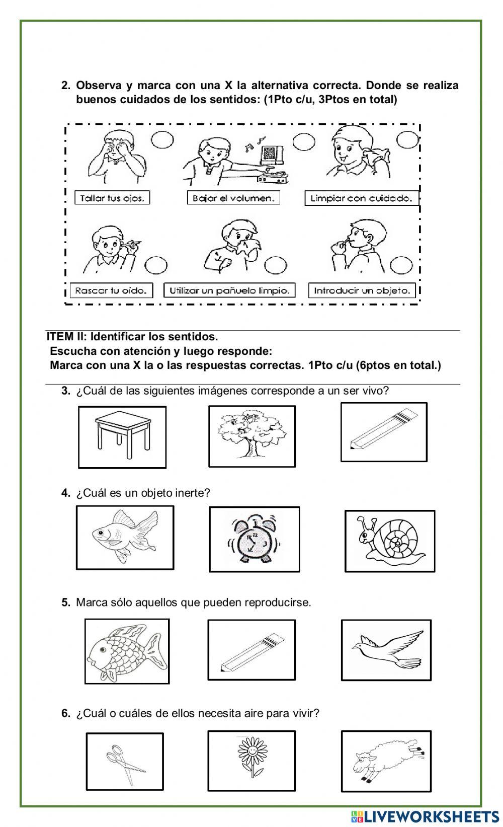 Evaluación seres vivos y los cinco sentidos