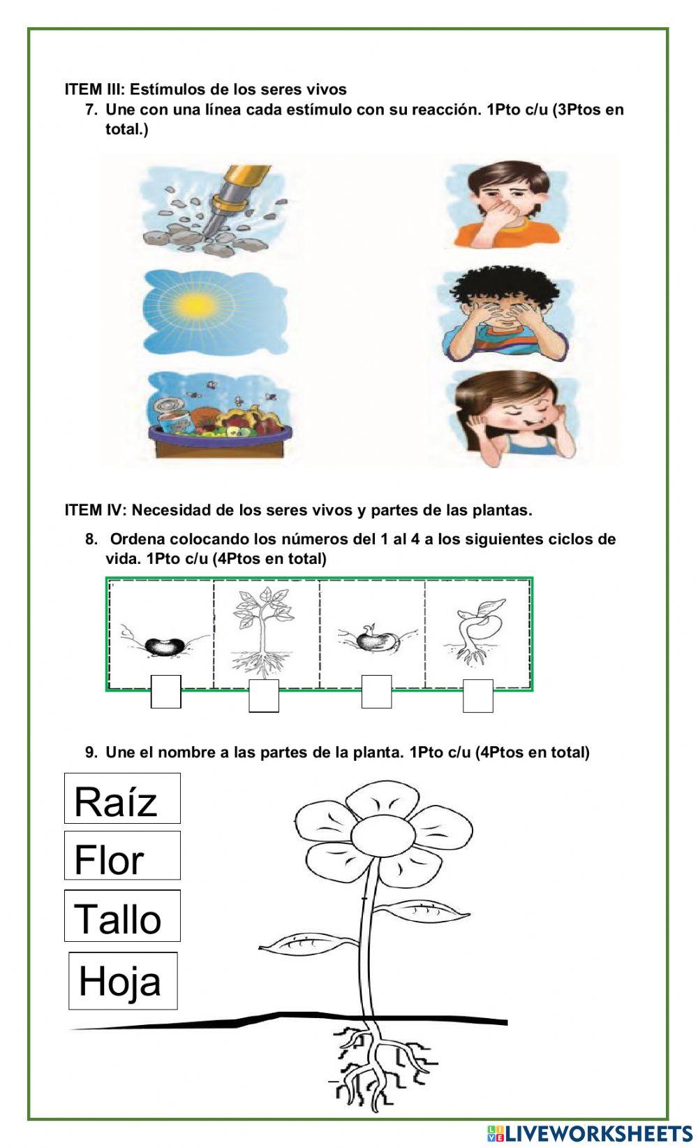 Evaluación seres vivos y los cinco sentidos