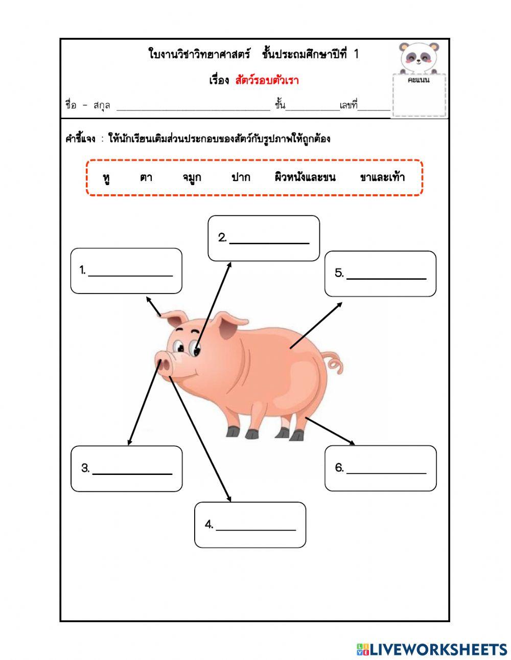 ป.1 ส่วนต่างๆของสัตว์
