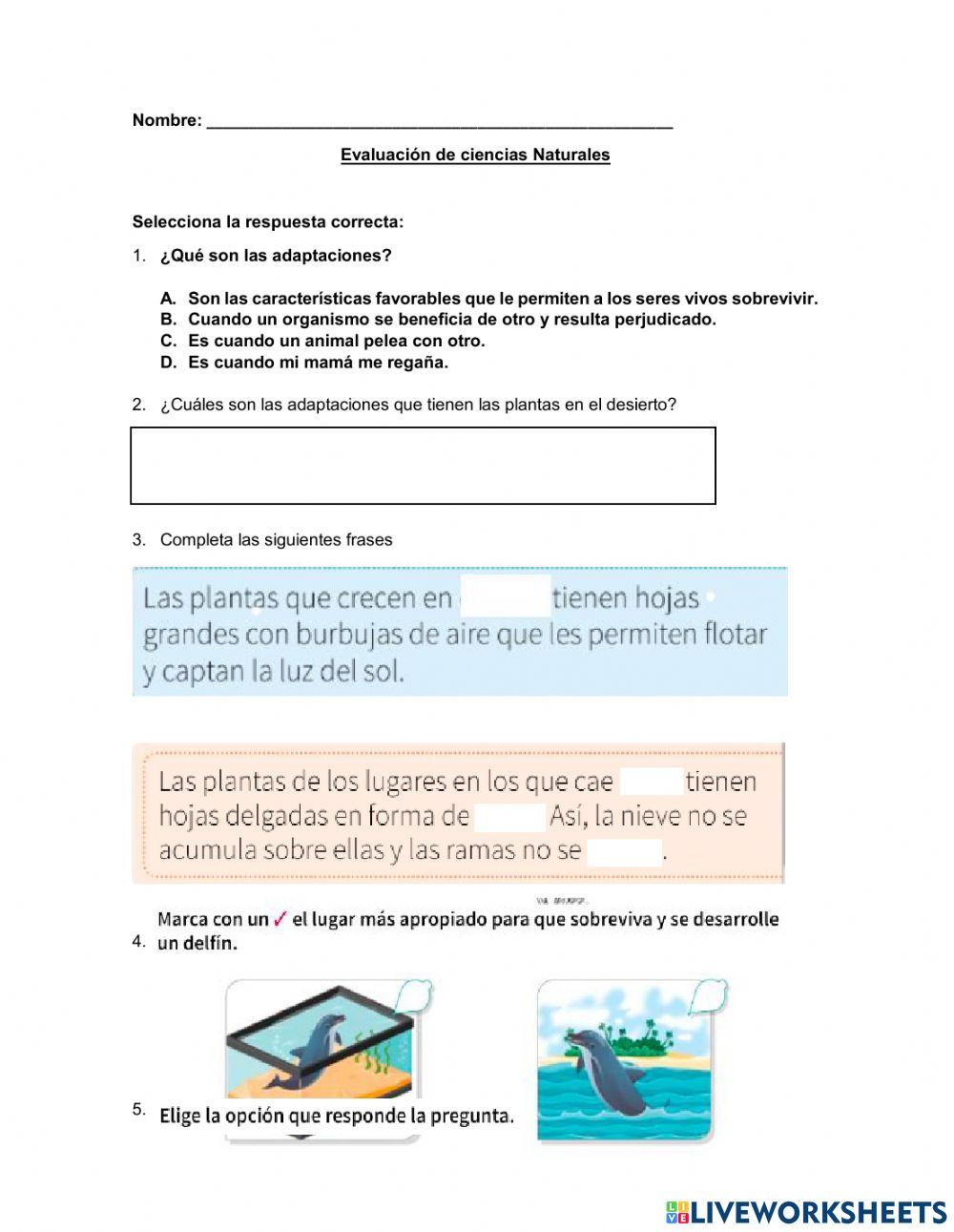 Evaluacion Ciencias naturales 3 periodo