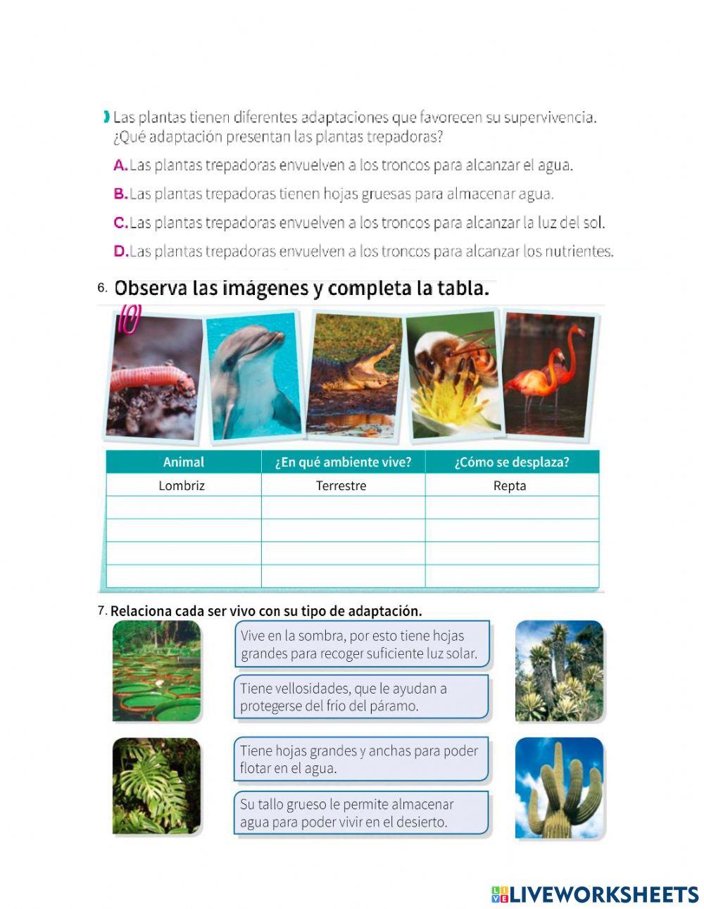 Evaluacion Ciencias naturales 3 periodo