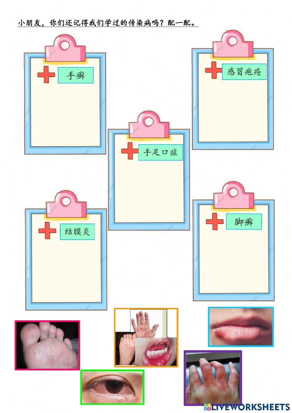 二年级健康教育