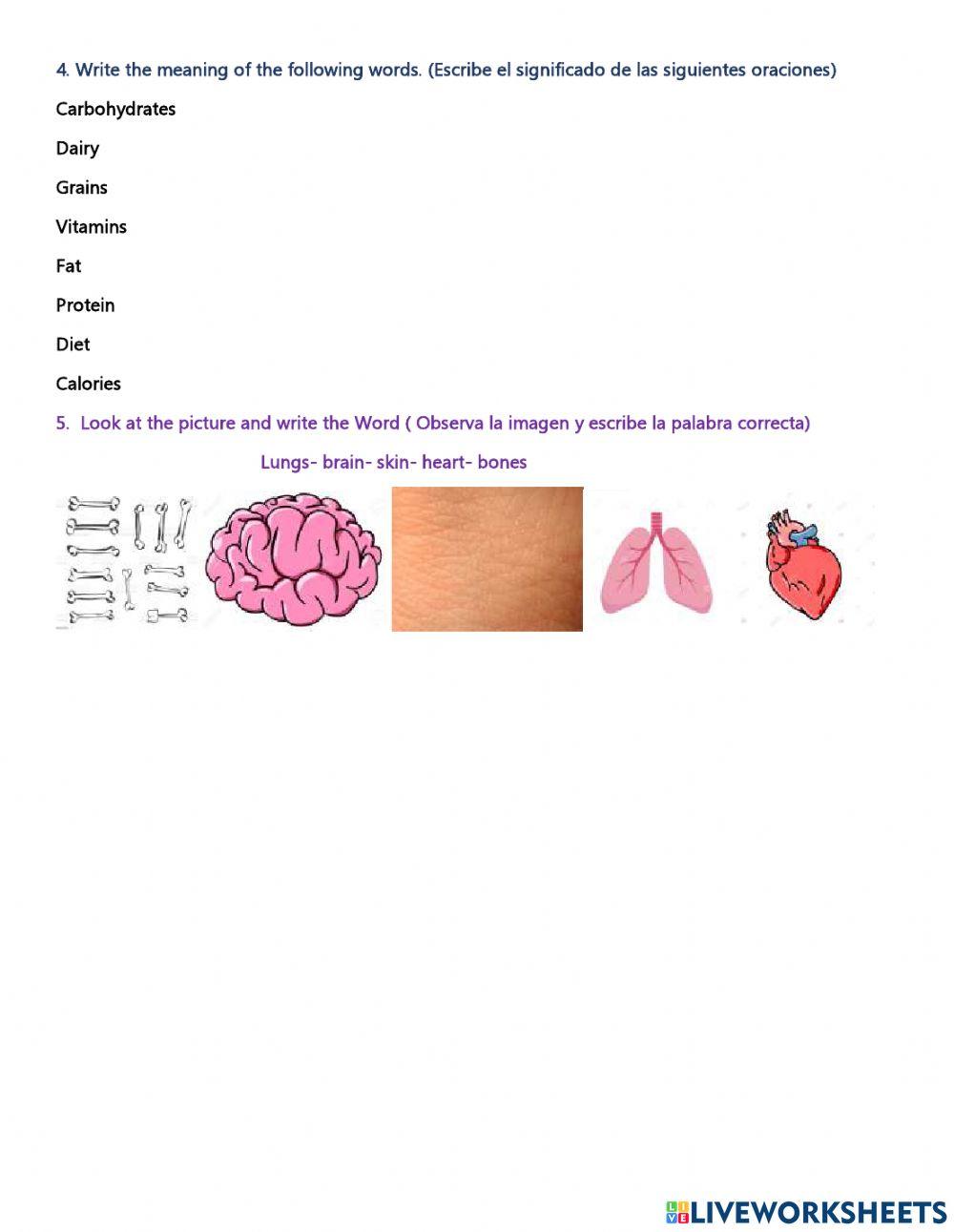 Final evaluation fourth grade
