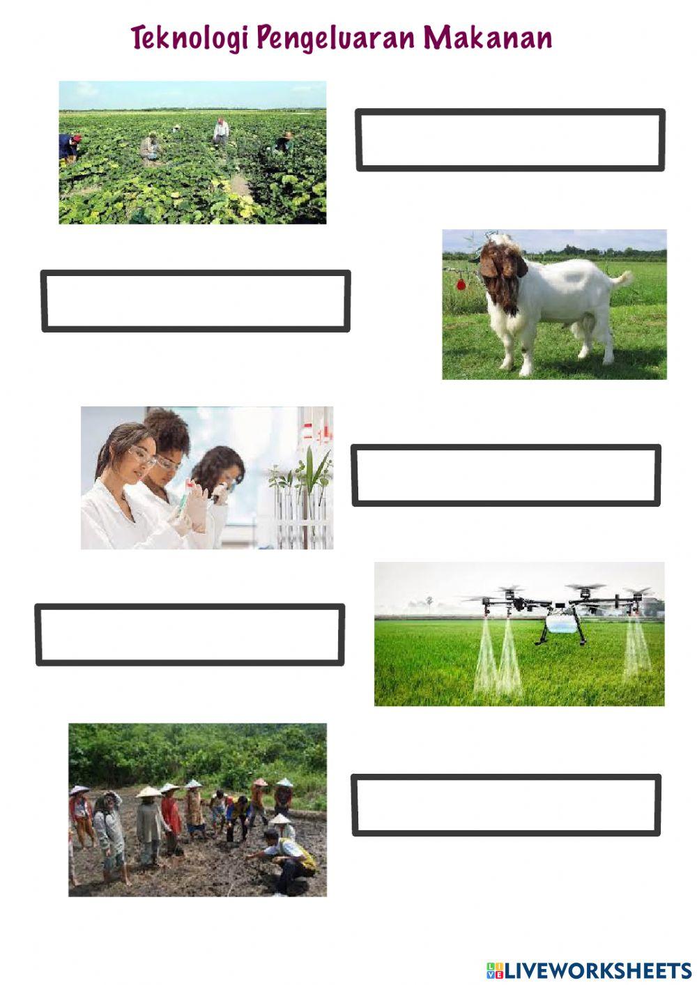 Meningkatkan kualiti dan kuantiti makanan