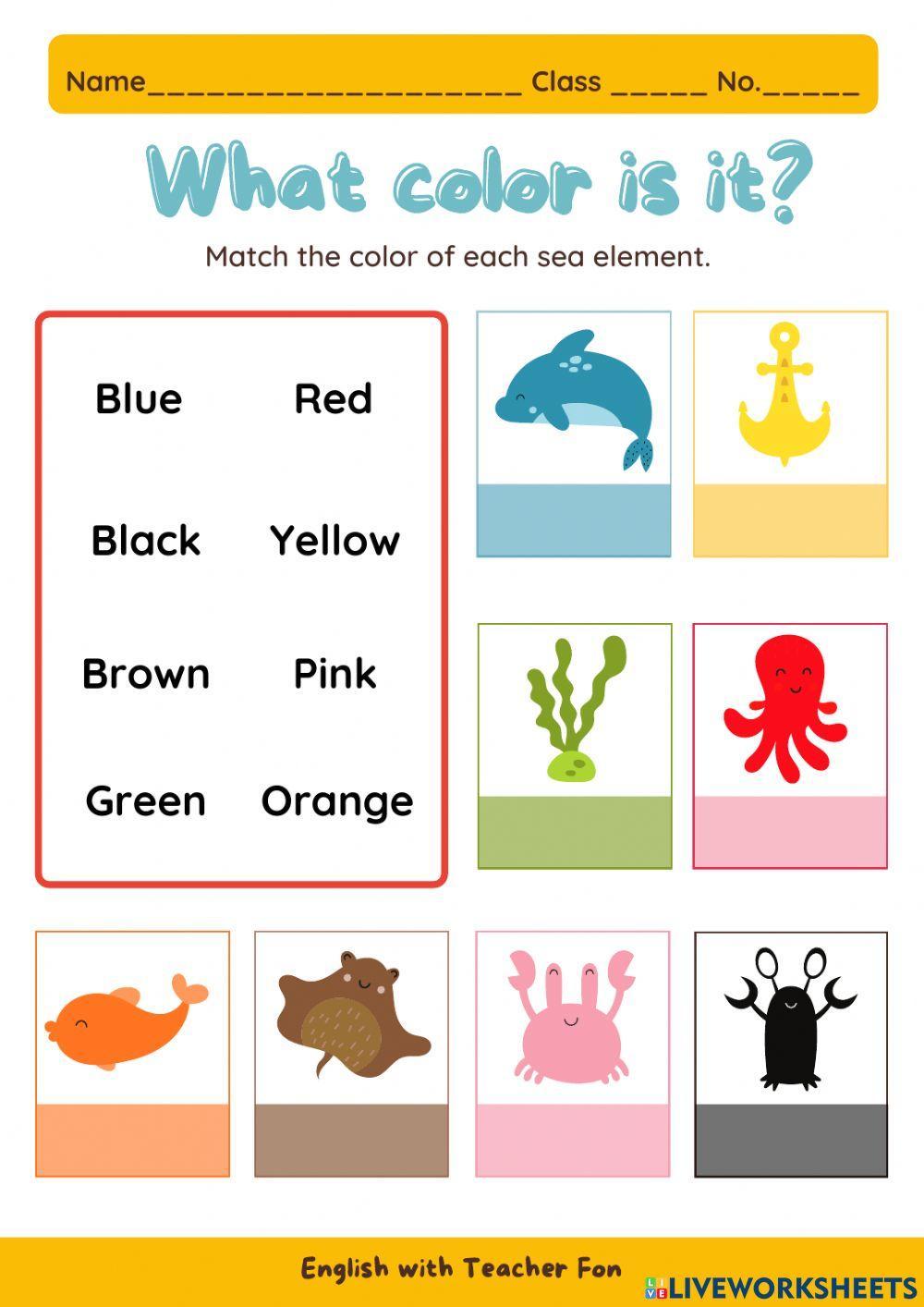 What color is it? What color is it?