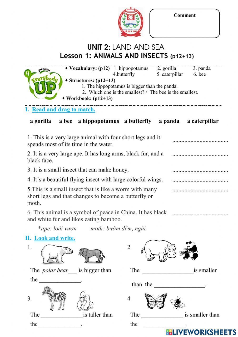 everybody up 4 unit 2 lesson 4