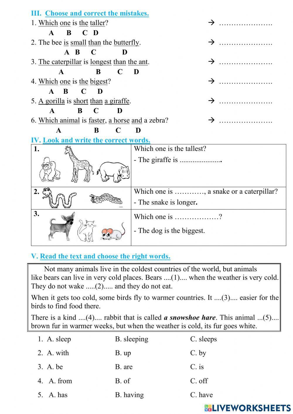 everybody up 4 unit 2 lesson 4 worksheet