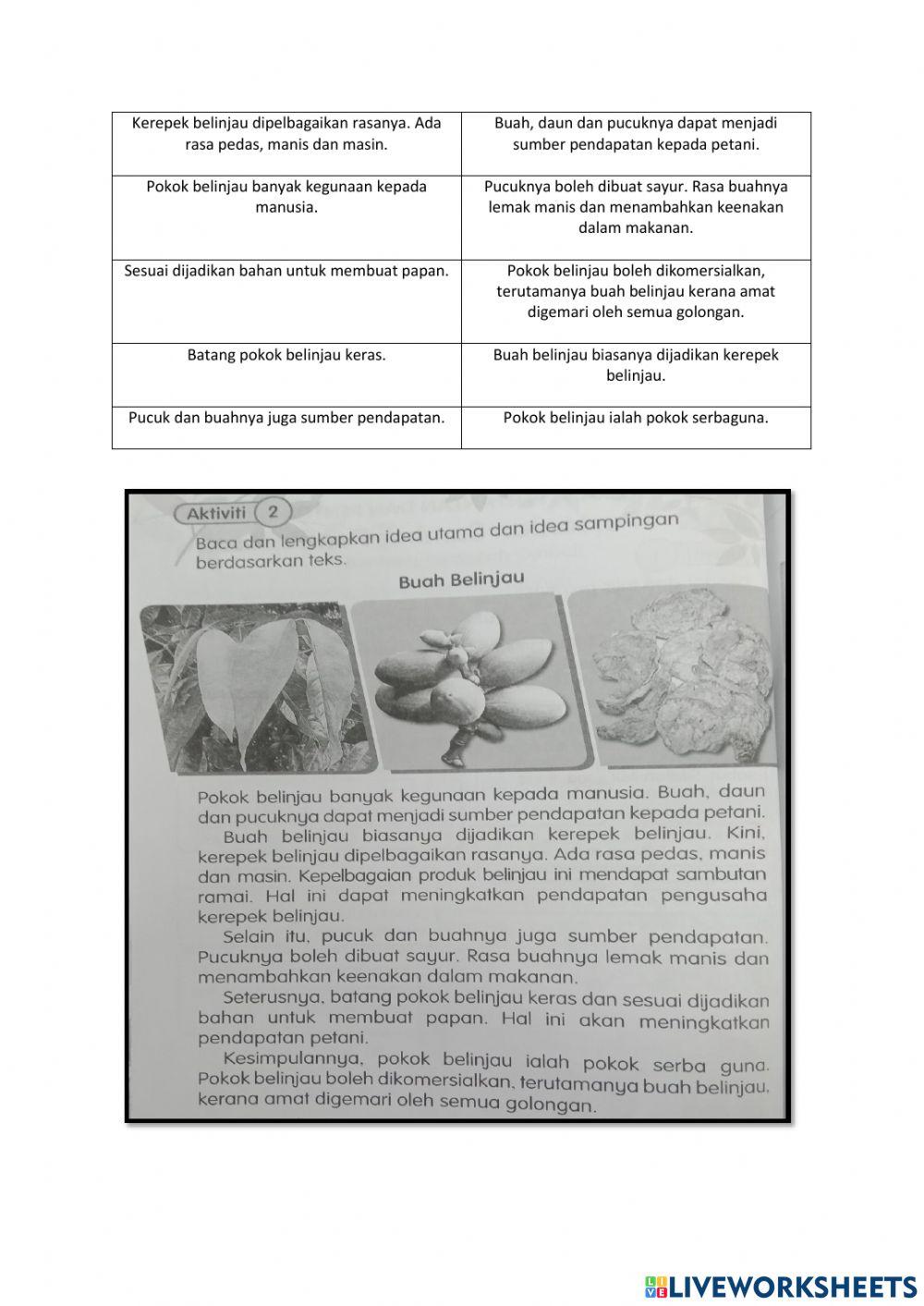 Idea Utama dan Idea Sampingan Pokok Belinjau