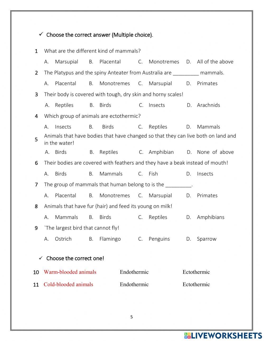 Worksheet
