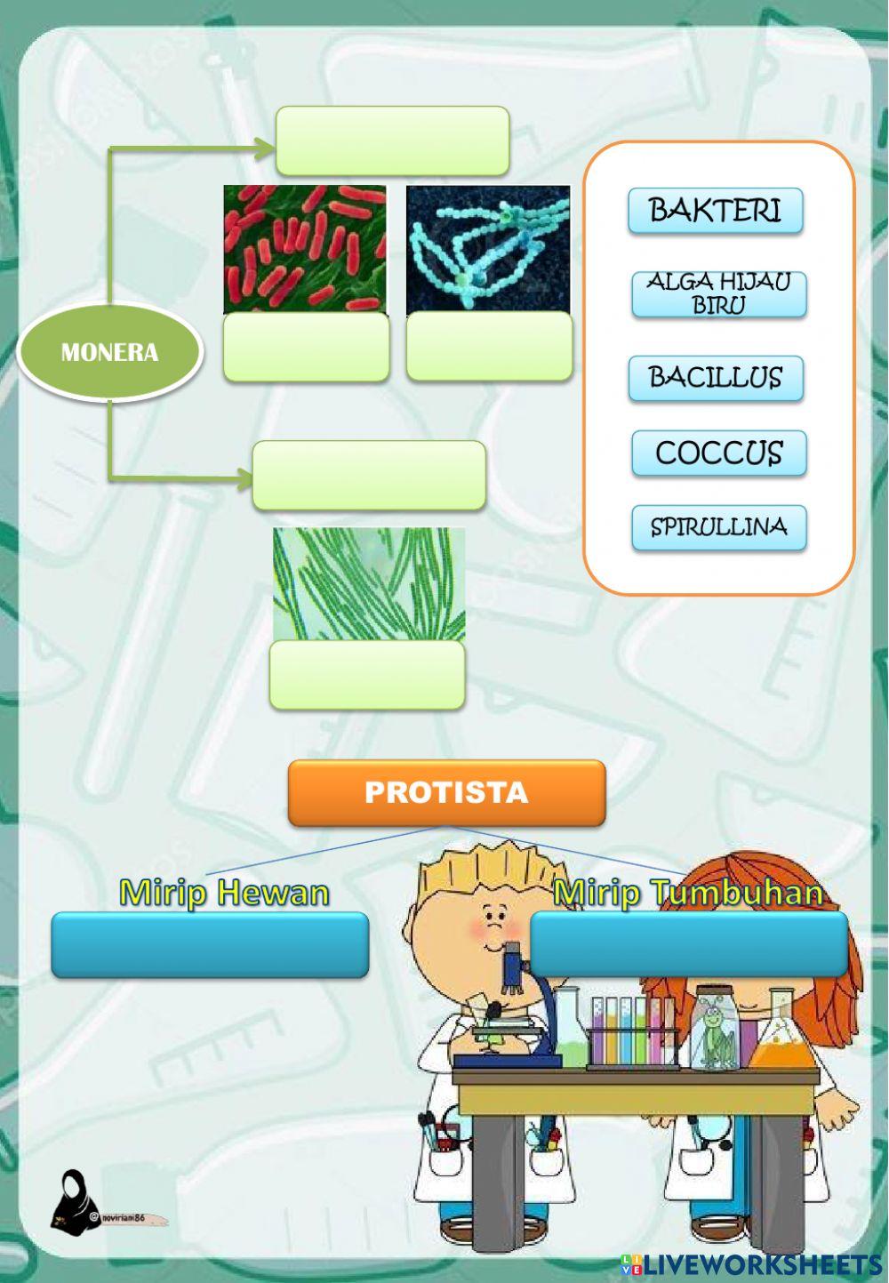 Klasifikasi Makhluk Hidup