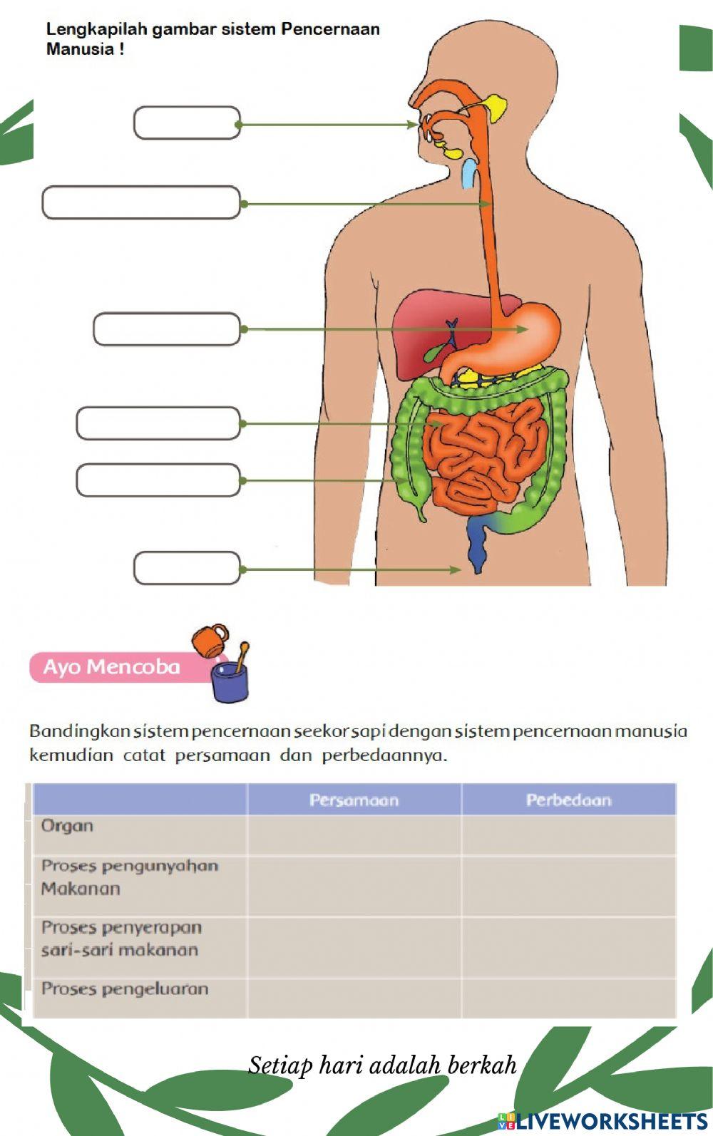 LKPD KELAS 5 Tema 3  Sub Tema 1 PB 2 DAN 3