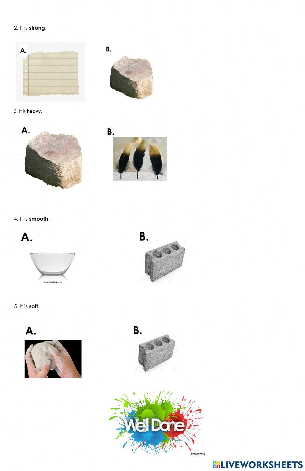 Fourth Bimester Test