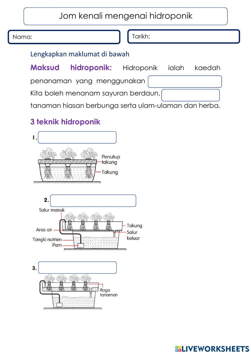 Jom Kenali Hidroponik