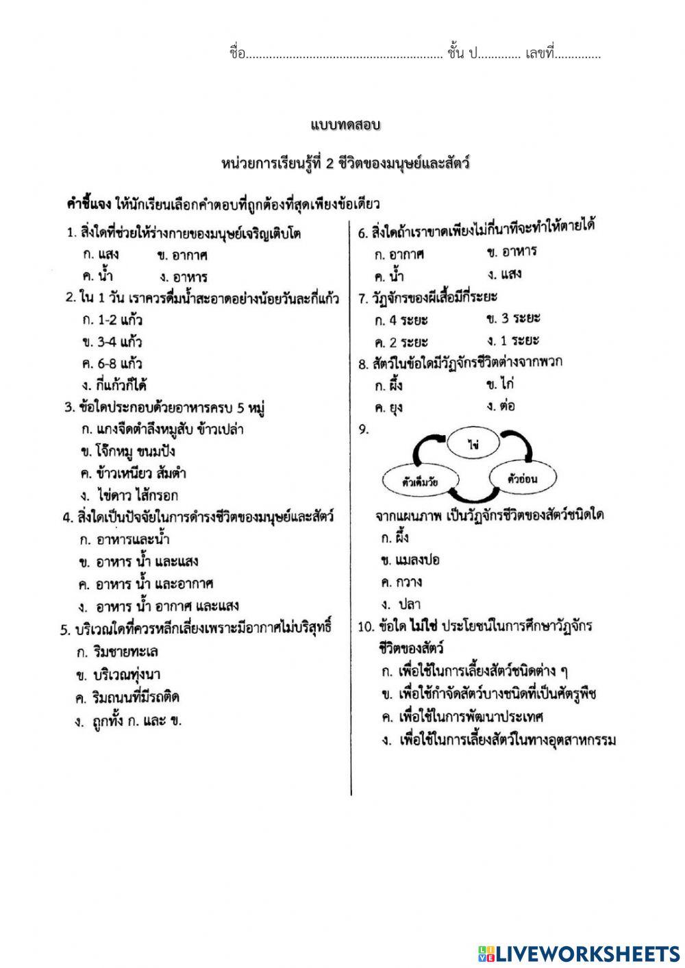 แบบทดสอบ เรื่อง ชีวิตของมนุษย์และสัตว์