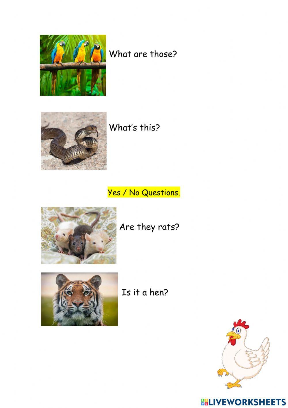 Poptropica Islands 2 - Unit 5 Test