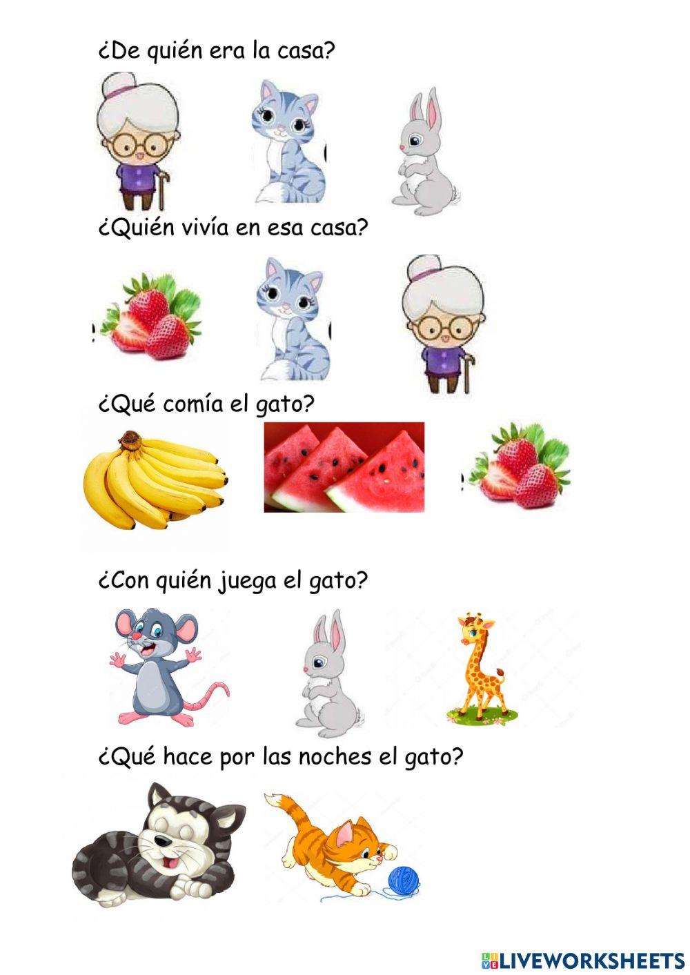 El gato y su amigo el conejo