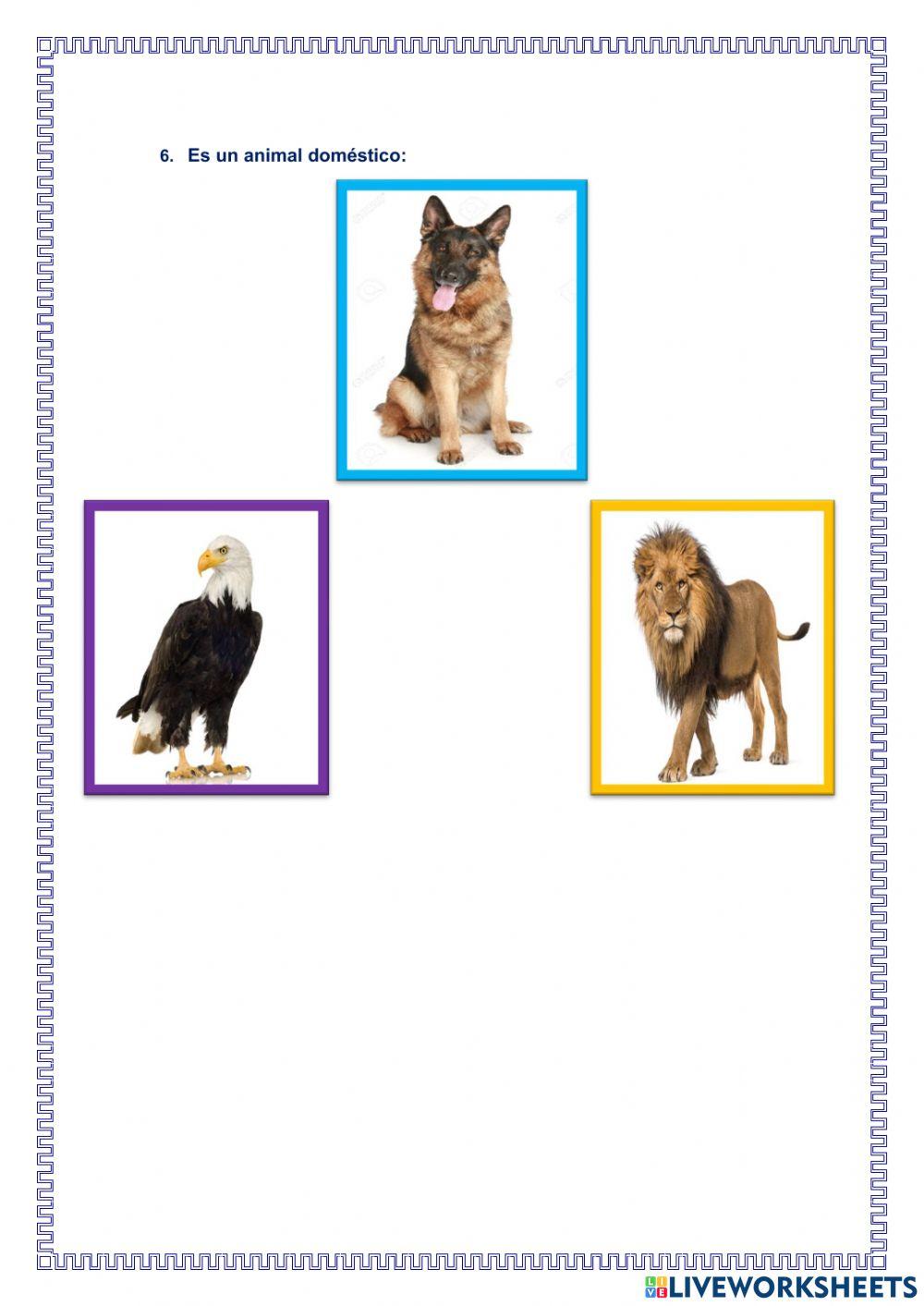 Examen de Ciencia y Tecnología