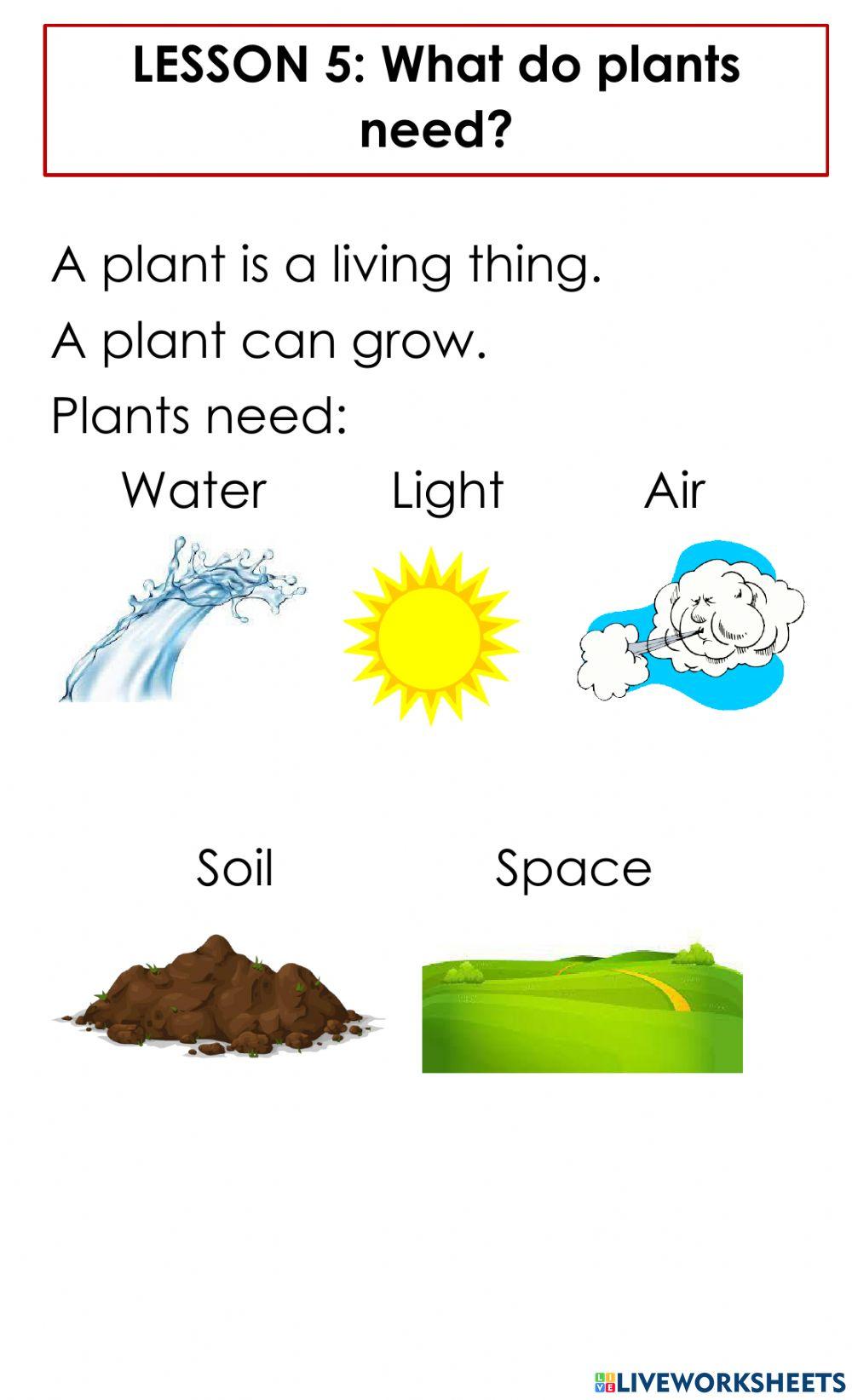 Needs of a Plant
