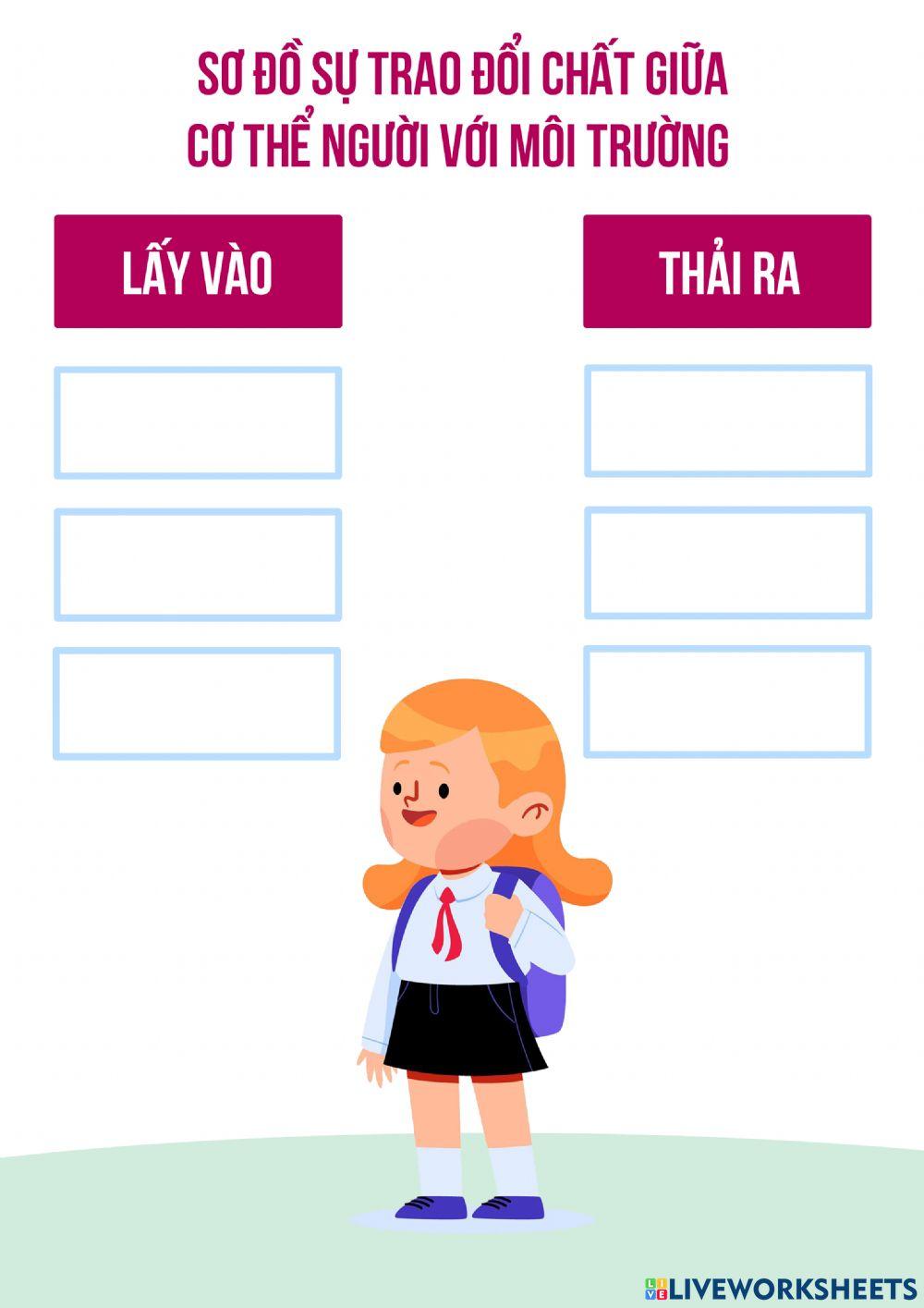 Sơ đồ sự trao đổi chất giữa cơ thể người với môi trường