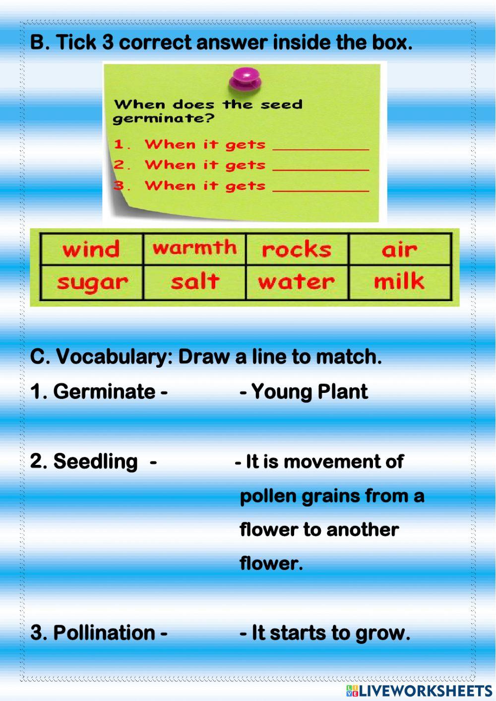 Life Cycle of the Flowering Plant