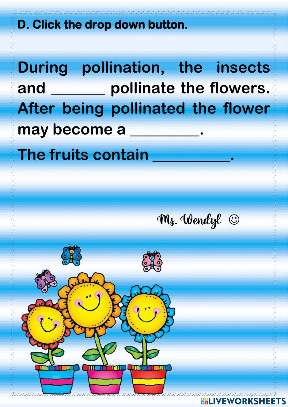 Life Cycle of the Flowering Plant