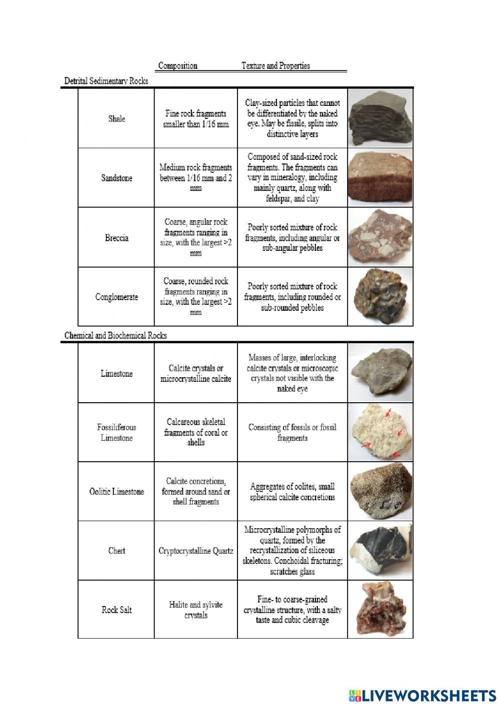 Sedimentary Rocks Chart
