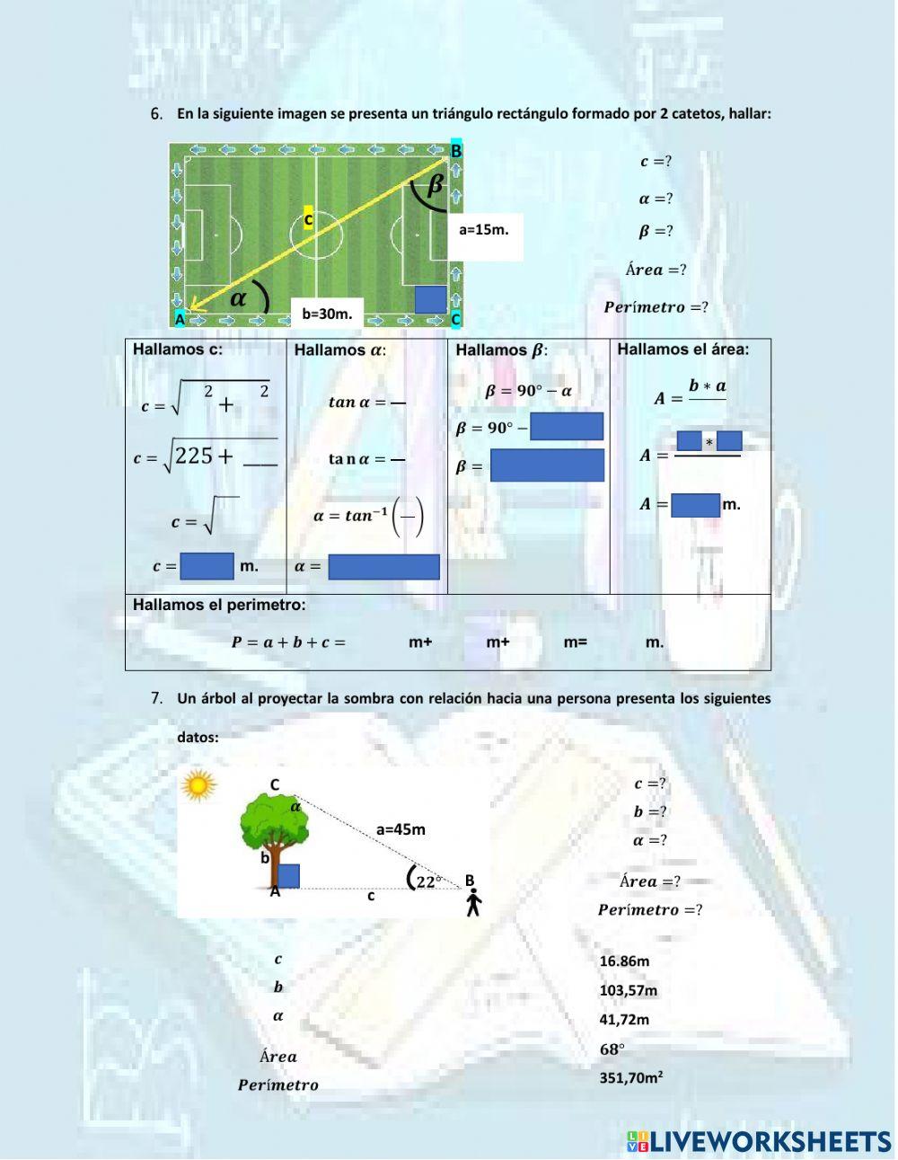 Evaluación de 5to de secundaria