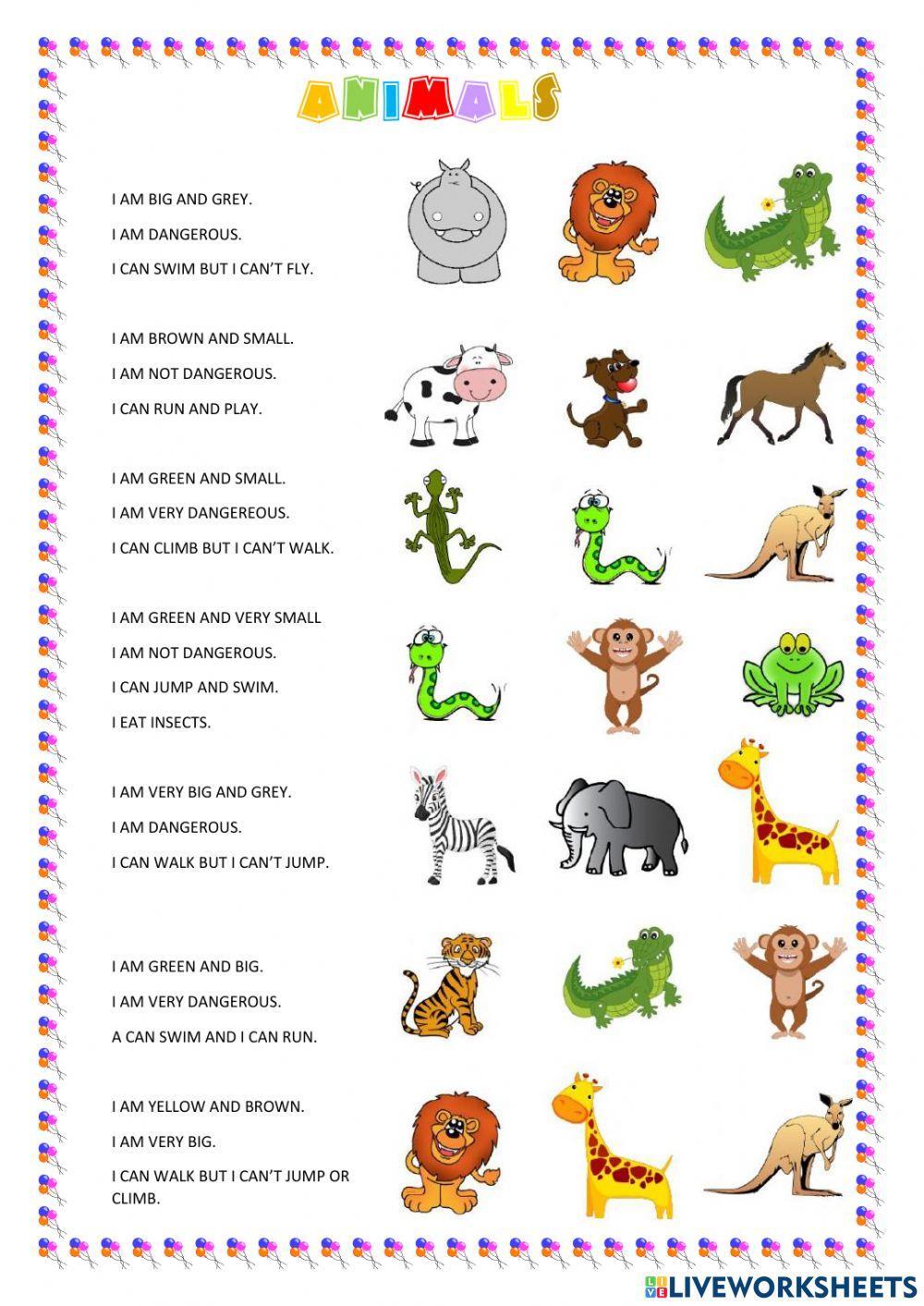 Animal description Animal description
