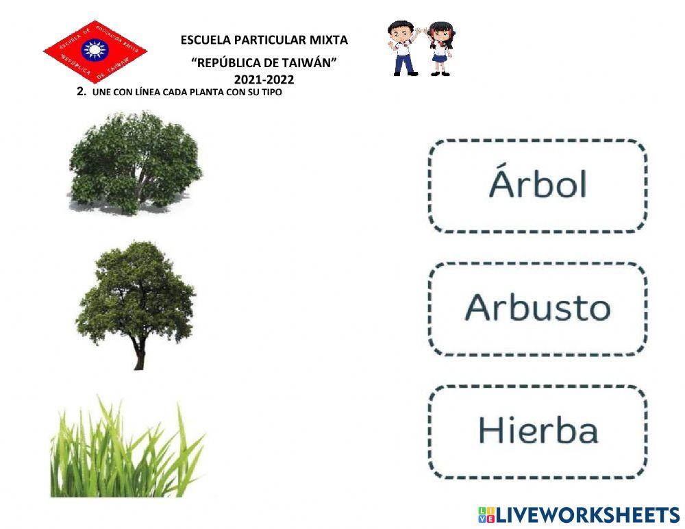 Aporte medio natural y cultural