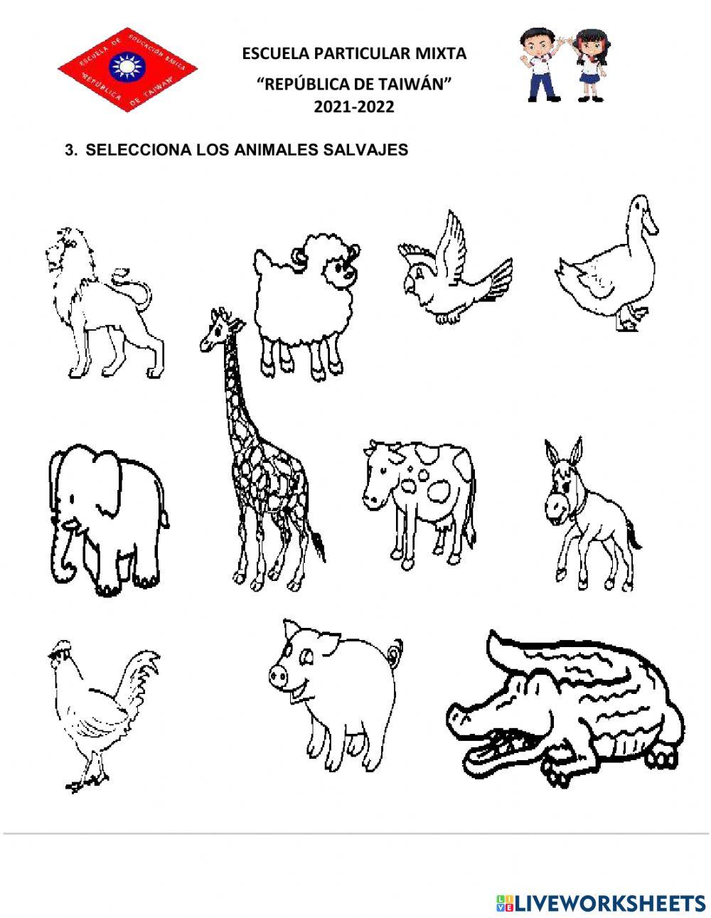 Aporte medio natural y cultural