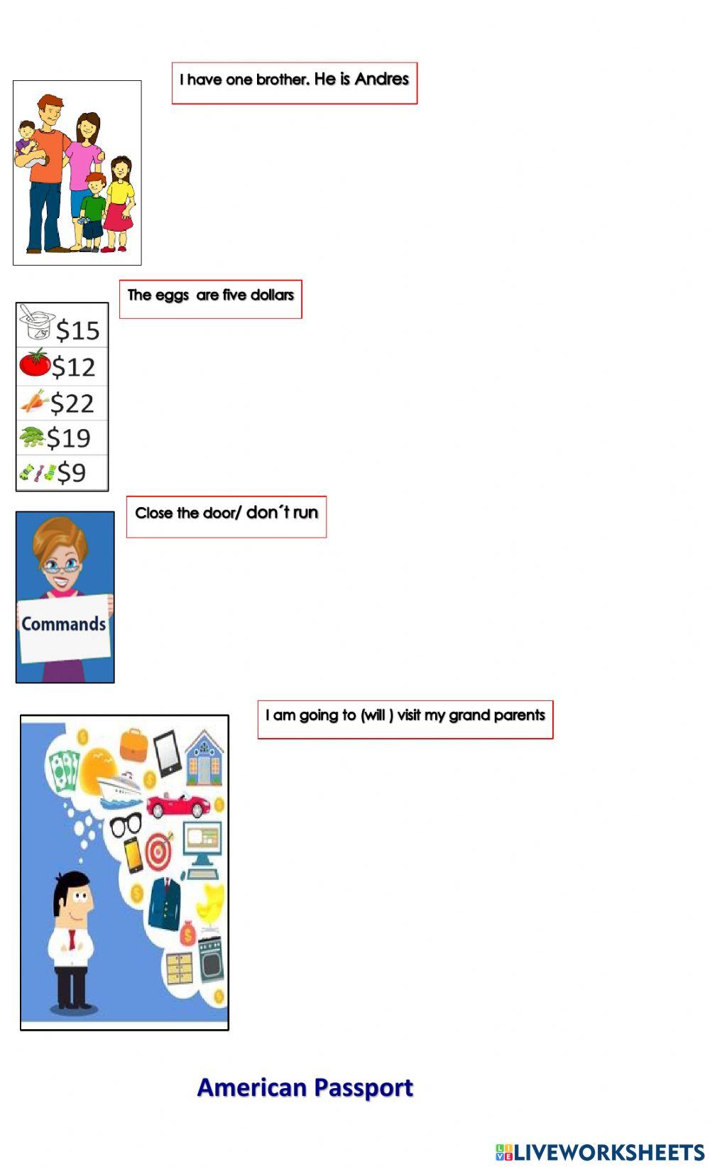 Redaction Diagnostic A1. Amerpassport