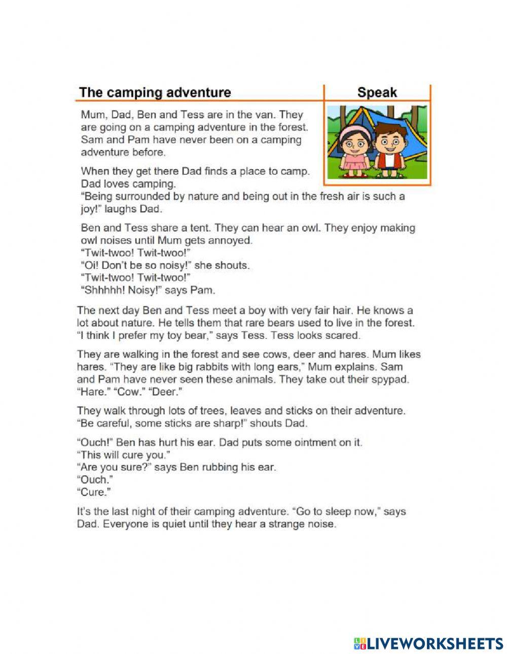 The Camping Adventure