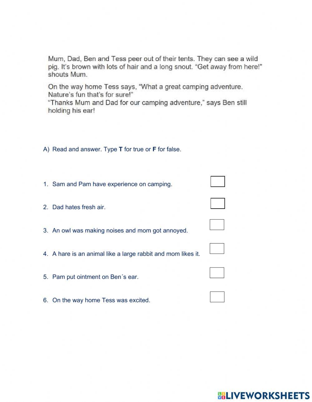 The Camping Adventure