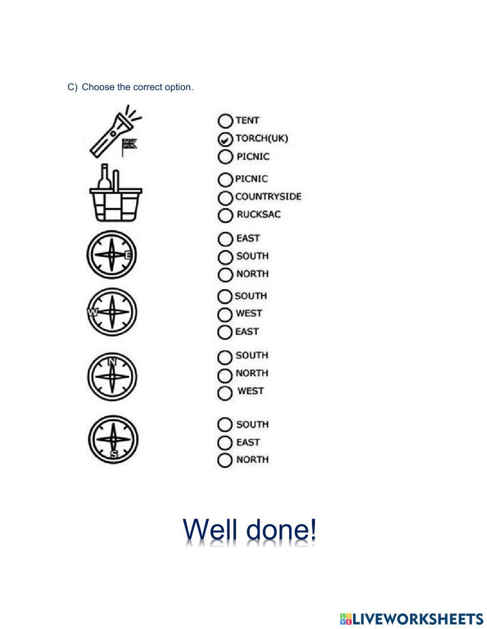 The Camping Adventure