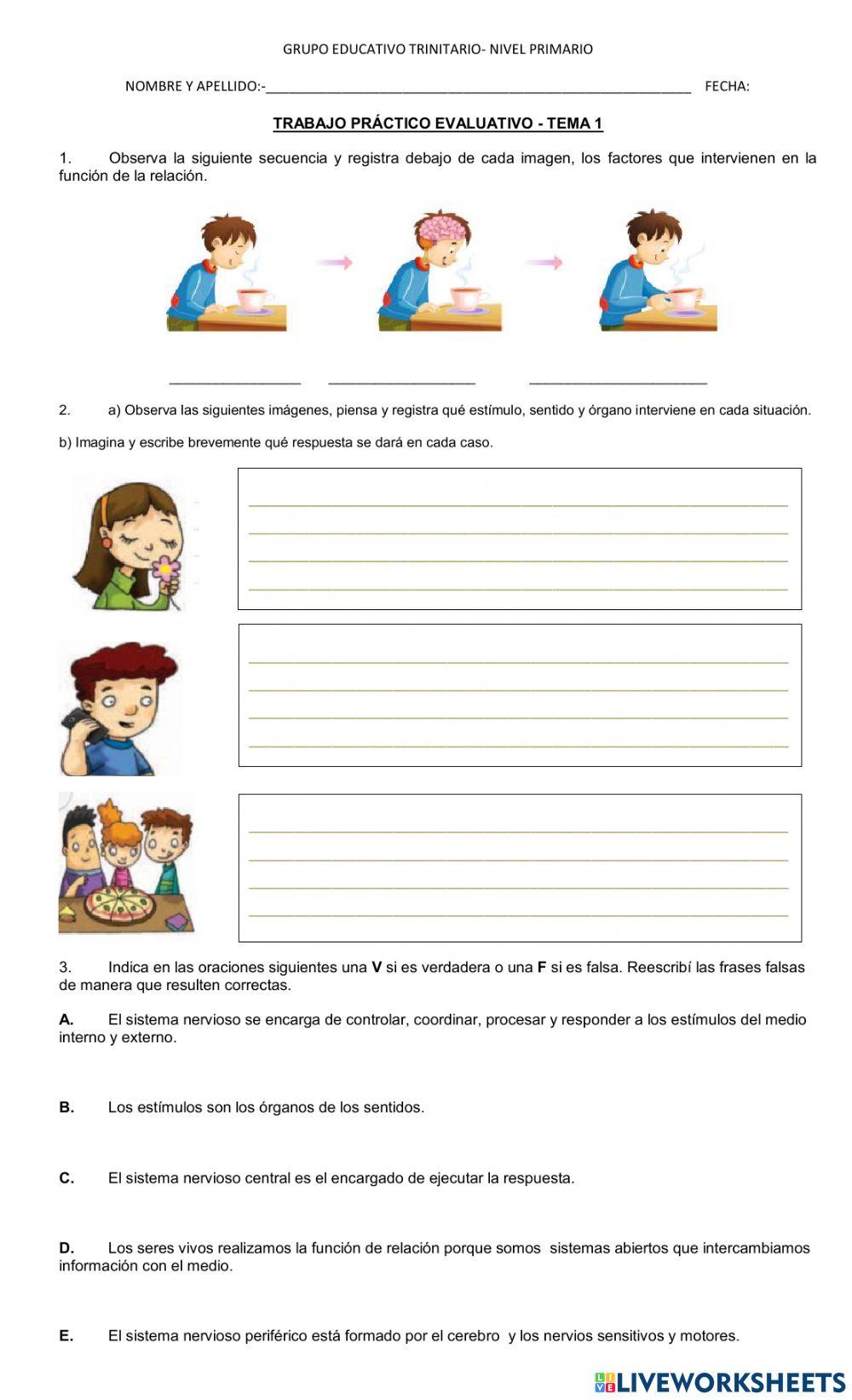 Evaluación de Ciencias naturales