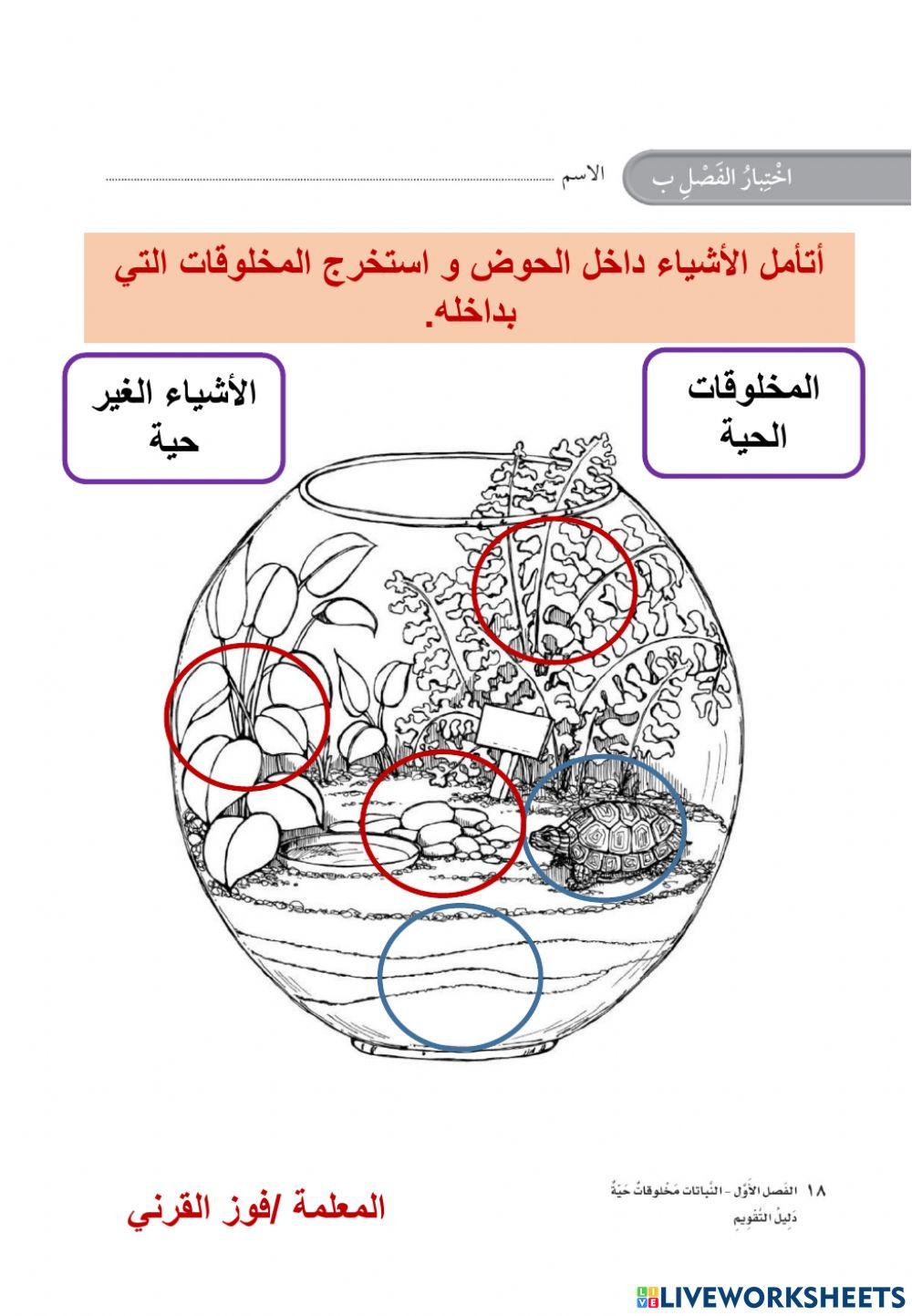 المخلوقات الحية (أول)