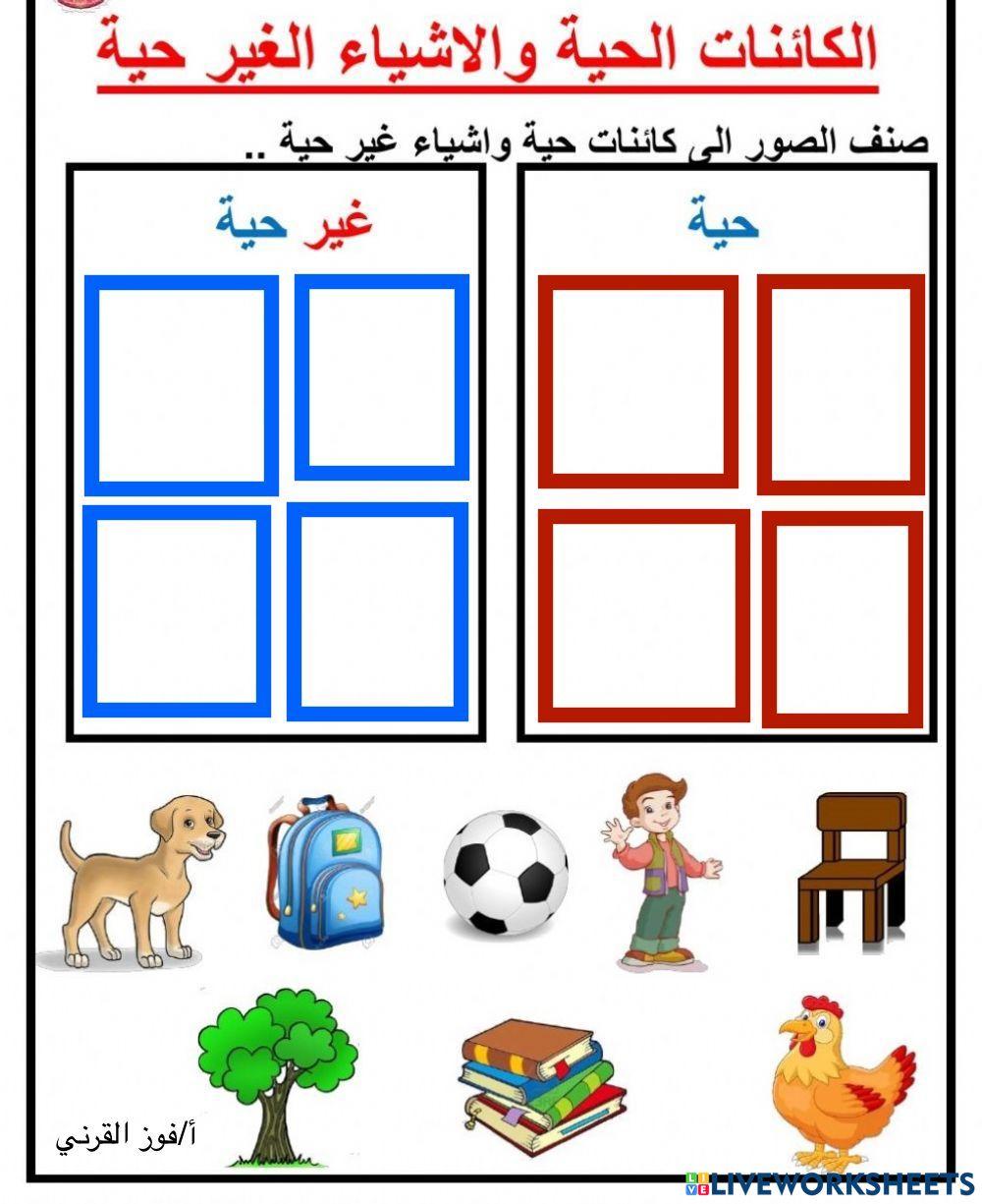 2المخلوقات الحية (أول)