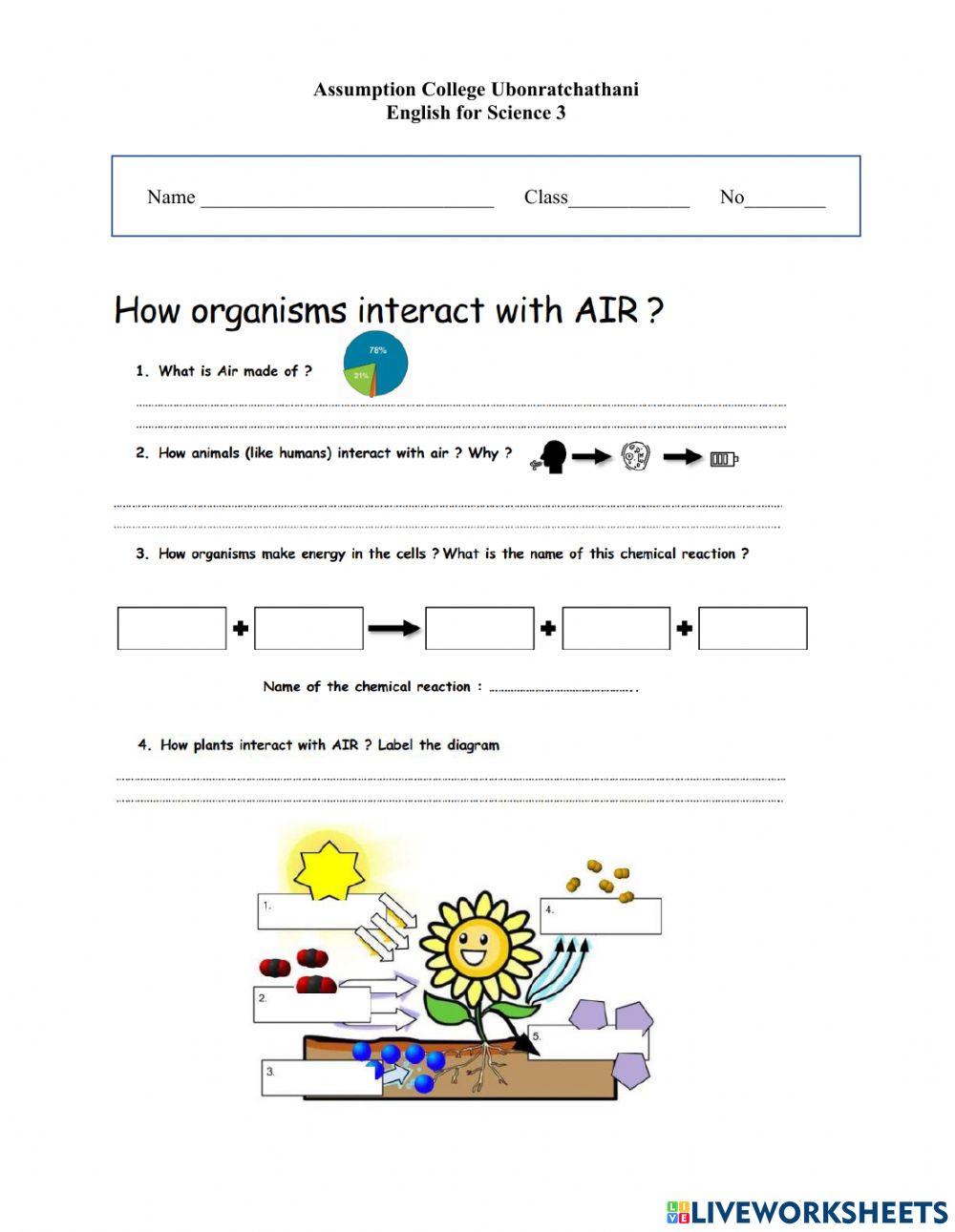 How Organisms Interact with Air worksheet