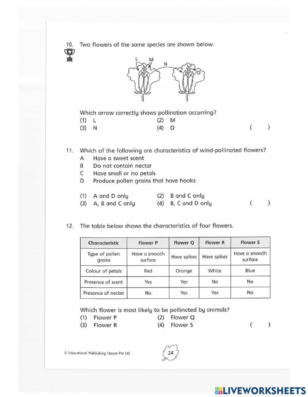 Reproduction in plants
