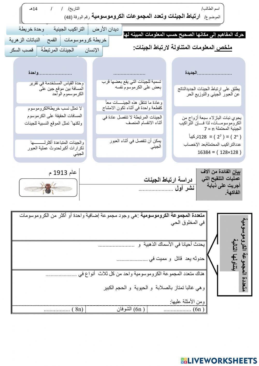 ورقة 48تفاعلية3