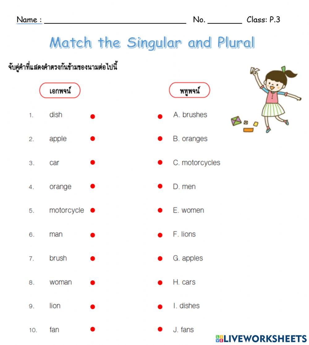 แบบฝึกหัด เรื่อง Singular and Plural ป.3